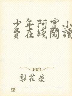 少年阿宾小说免费在线阅读