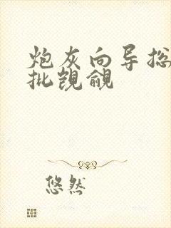 炮灰向导总被疯批觊觎