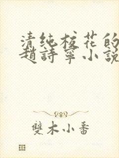 清纯校花的堕落赵诗宁小说全文免费