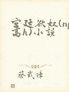 宫廷欲奴(np高h)小说
