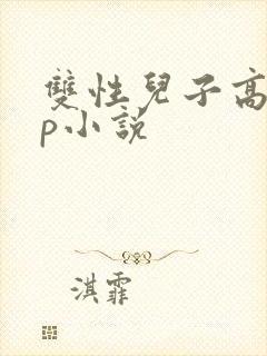双性儿子高hnp小说封面