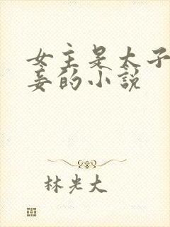 女主是太子的侍妾的小说