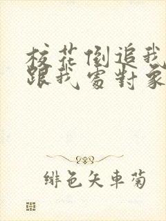 校花倒追我想要跟我处对象免费全文在线阅读