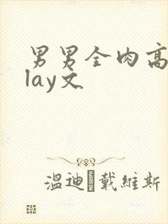 男男全肉高hplay文