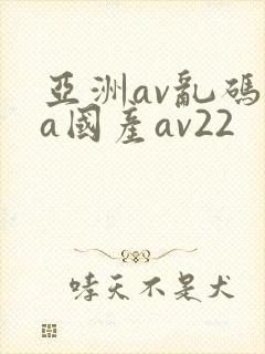 亚洲av乱码va国产av22