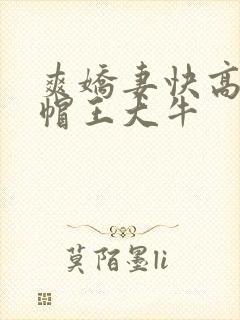 爽娇妻快高h绿帽王大牛封面