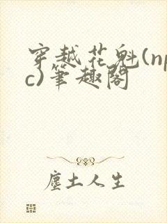 穿越花魁(npc)笔趣阁