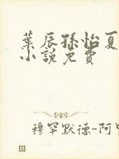 叶辰孙怡夏若雪小说免费