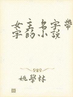 女主名字带有薇字的小说封面