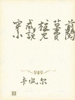 穿成校草前男友小说免费阅读封面