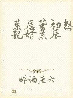 叶辰萧初然上门龙婿叶辰