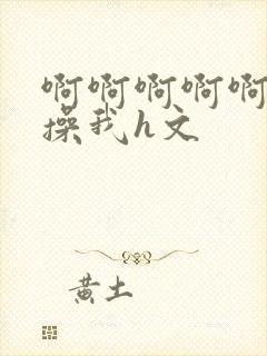 啊啊啊啊啊啊啊操我h文