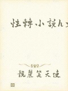 性转小说h文