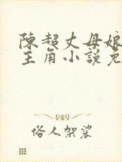 陈超丈母娘赵悦主角小说免费阅读封面