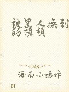 被黑人操到高潮的视频