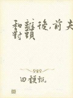 和离后,前夫死对头