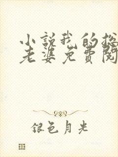 小说我的总裁大老婆免费阅读封面