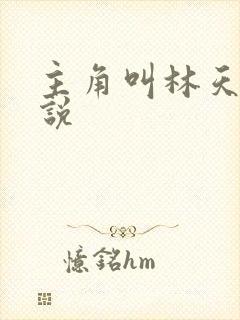 主角叫林天的小说