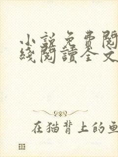 小说免费阅读在线阅读全文