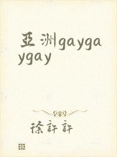 亚洲gaygaygay