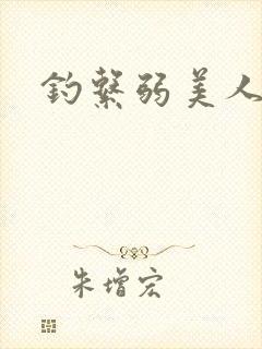 钓系弱美人小说封面