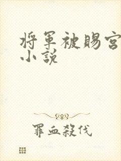 将军被赐宫刑的小说