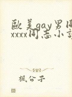 欧美gay男同xxxx同志小说封面