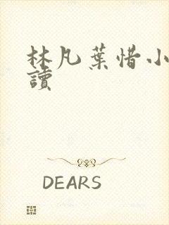 林凡叶惜小说阅读封面