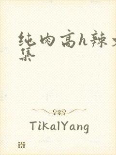纯肉高h辣文合集