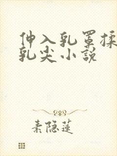 伸入乳罩揉她的乳尖小说