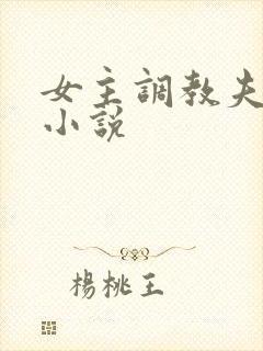 女主调教夫妻奴小说封面