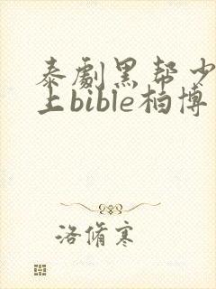 泰剧黑帮少爷爱上bible柏博