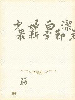 少 妇 白 洁 最新章节免费阅读封面