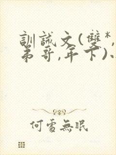 训诫文(双*,弟哥,年下)小说双胞胎封面