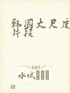 韩国大尺度激情片段