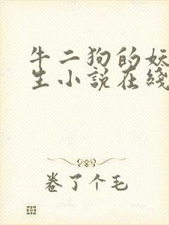 牛二狗的妖孽人生小说在线阅读