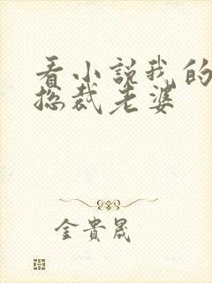 看小说我的冷艳总裁老婆