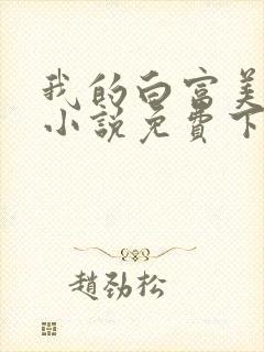我的白富美老婆小说免费下载封面