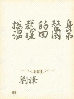 总裁的替身前妻温暖回国第几章