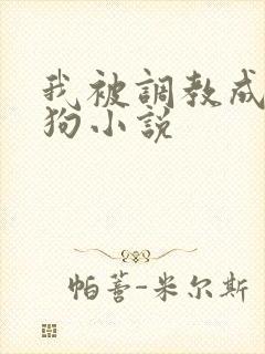 我被调教成小母狗小说