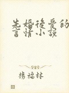 先婚后爱的现代言情小说