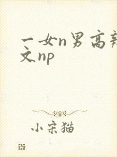 一女n男高辣h文np
