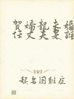 贺娇龙未婚第一任丈夫是谁封面