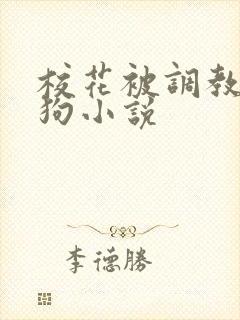 校花被调教成母狗小说封面