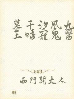 慕千汐凰九夜邪王嗜宠鬼医狂妃