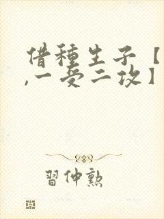 借种生子【双性,一受二攻】