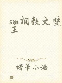 sm调教文双男主封面