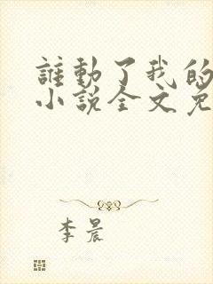 谁动了我的老婆小说全文免费阅读封面