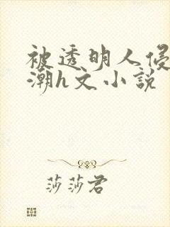 被透明人侵犯高潮h文小说