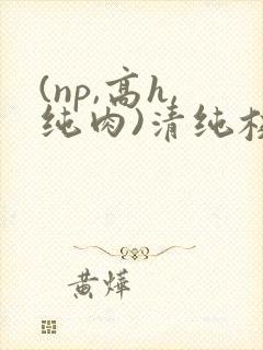 (np,高h,纯肉)清纯校花